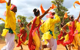 Bhil folk dance troupe performing at wedding celebration